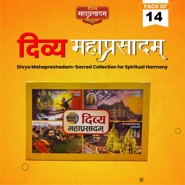 Divya Mahaprasadam Pack of (14 Product) Small Box